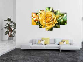 Tablou cu trandafir (150x105 cm)