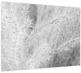 Tablou - Iarbă de pampas N⁰1 (70x50 cm)