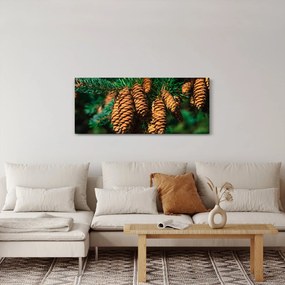 Tablou cu con de brad (120x50 cm)