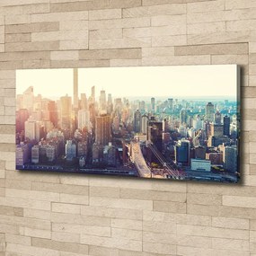 Imprimare tablou canvas New york pasăre de zbor