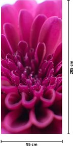 Fototapet pentru ușă - Floarea (95x205cm)