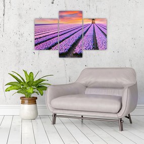 Tablou - ferma cu flori (90x60 cm)