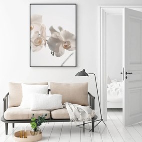 Poster - Orhidee albă (A4)