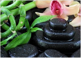 Tablou - Pietre și orhidee (70x50 cm)