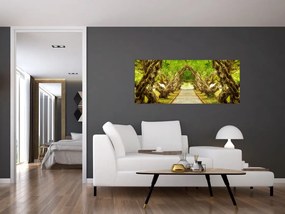 Tablou - Tunel viu din plumeria (120x50 cm)
