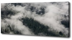 Tablou pe pânză Ceață peste pădure