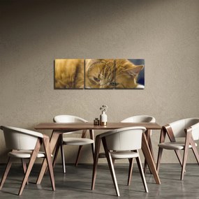 Tablou cu pisica (cu ceas) (90x30 cm)