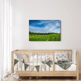 Tablou cu luncă (90x60 cm)