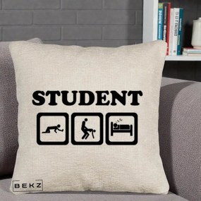 Perna Decorativa Student Life, 40x40 cm, Bej Canapea, Husa Detasabila, Perna Inclusa, BEKZ®