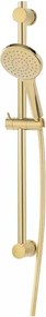 Set de dus cu bara FDesign Inula 1 functie 73 cm auriu lucios