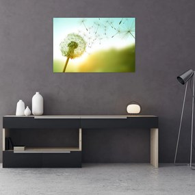 Tablou - Păpădia în vânt (90x60 cm)