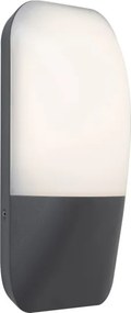 Rabalux 7996 - Aplică perete exterior LED ECUADOR LED/10W/230V IP65 800lm 4000K