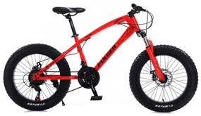 Bicicleta Fulger by Caraiman, roti 20 inch, cauciucuri groase, frane pe disc, BC50