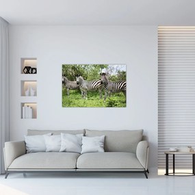 Tablou cu zebre (90x60 cm)