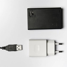 Instalație luminoasă Astra LED mini Brăduț colorată, 20 beculețe