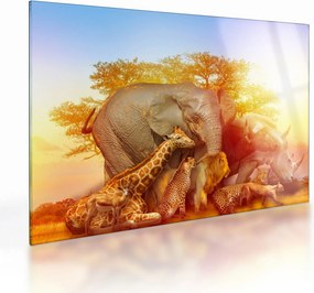 Tablou pe sticlă - Animale africane (70x50 cm)
