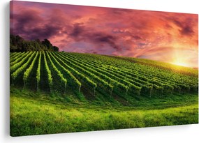 Tablou cu vie cu cerul color (90x60 cm)