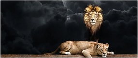 Tablou - Leu și leoaică (120x50 cm)