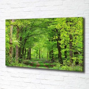 Tablou canvas Pădure de primăvară