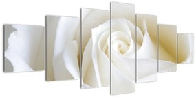 Tablou - trandafiri albi (210x100cm)