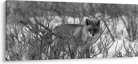 Tablou - Vulpe în timpul iernii (120x50 cm)