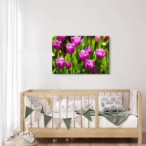 Tablou cu lale pe luncă (90x60 cm)