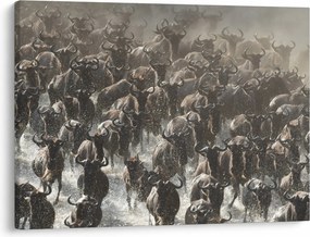 Tablou - Turmă de antilope sălbatice (70x50 cm)