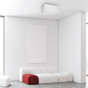 Plafonieră ALBION 2xE27/60W/230V