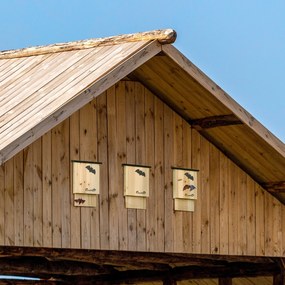 PawHut Set de 3 Adăposturi pentru Liliac din Lemn de Brad pentru Exterior, 25x6x37.5 cm, Lemn Natural | Aosom Romania