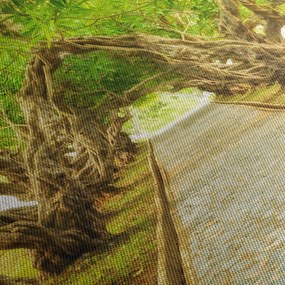 Tablou - Tunel viu din plumeria (150x105 cm)