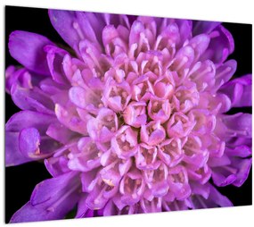 Tablou pe sticlă detailat cu floare (70x50 cm)