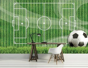 Fototapet - Teren de fotbal (254x184 cm)