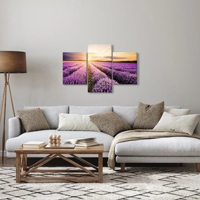 Tablou - Răsărit de soare în câmp de lavandă (90x60 cm)