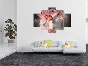 Tablou - Flori și fluture (150x105 cm)