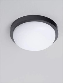 Mini Aplica LED exterior de perete/tavan, IP65, REO negru