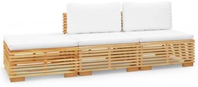 3100903 vidaXL Set mobilier grădină cu perne, 3 piese, lemn masiv de tec