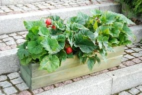 Ghiveci  din lemn pentru flori, 44 cm