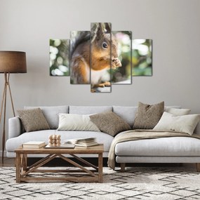 Tablou cu veverița (150x105 cm)