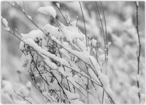 Tablou - Ramuri înzăpezite (70x50 cm)