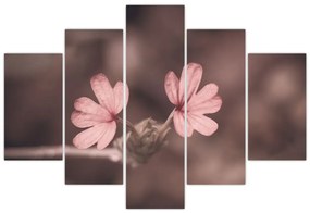 Tablou cu floare roz (150x105 cm)