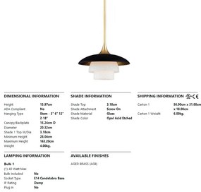 Pendul design deosebit BARRON