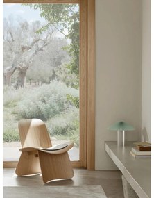 Pernă de scaun din pâslă 39x56 cm Nagomi – Blomus