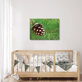 Tablou pe sticlă cu con (70x50 cm)