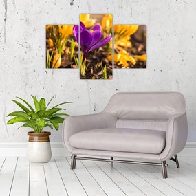 Tablou cu floare violetă (90x60 cm)