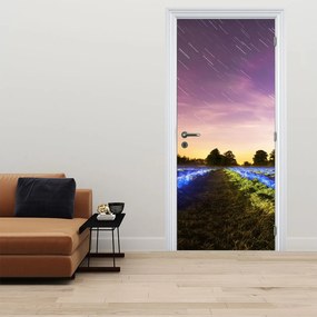 Fototapet pentru ușă - Câmp colorat (95x205cm)
