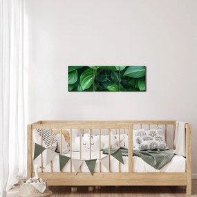 Tablou - Frunze verzi (cu ceas) (90x30 cm)