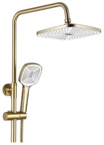REA-P7841 - Set de duș ARGUS cu baterie, finisaj auriu periat