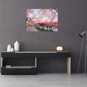 Tablou pe sticlă - Hirosaki, Japonia (70x50 cm)