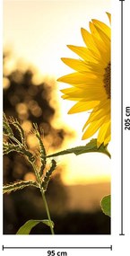 Fototapet pentru ușă - Floarea soarelui (95x205cm)