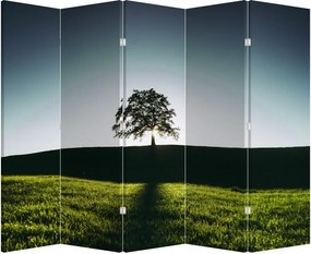 Paravan - Copac (210x170 cm)